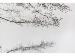 Christel Trica "Nebelstimmung"