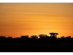Rainer Herzer "Abendstimmung in Namibia"