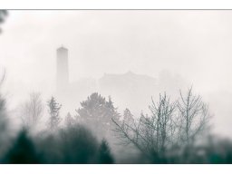 Wolfgang Seidel "Fuchsturm im Nebel"