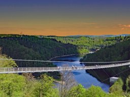 Wolfgang Teuber "Hängebrücke Harz"