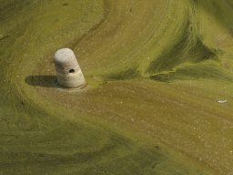 Rainer Hanemann "Der Stöpsel"