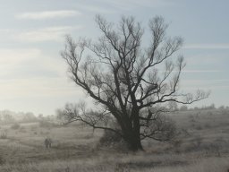 Rainer Hanemann "Unterwegs"