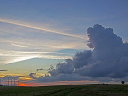 IMG_4