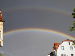 IMG_6