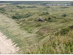 07_Wales-Duenenlandschaft-bei-Harlech-Kopie