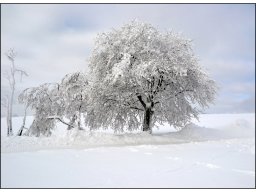 08_tief-verschneit