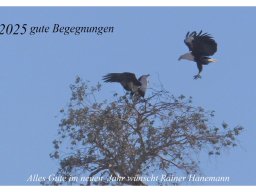 Rainer Hanemann "Begegnungen"